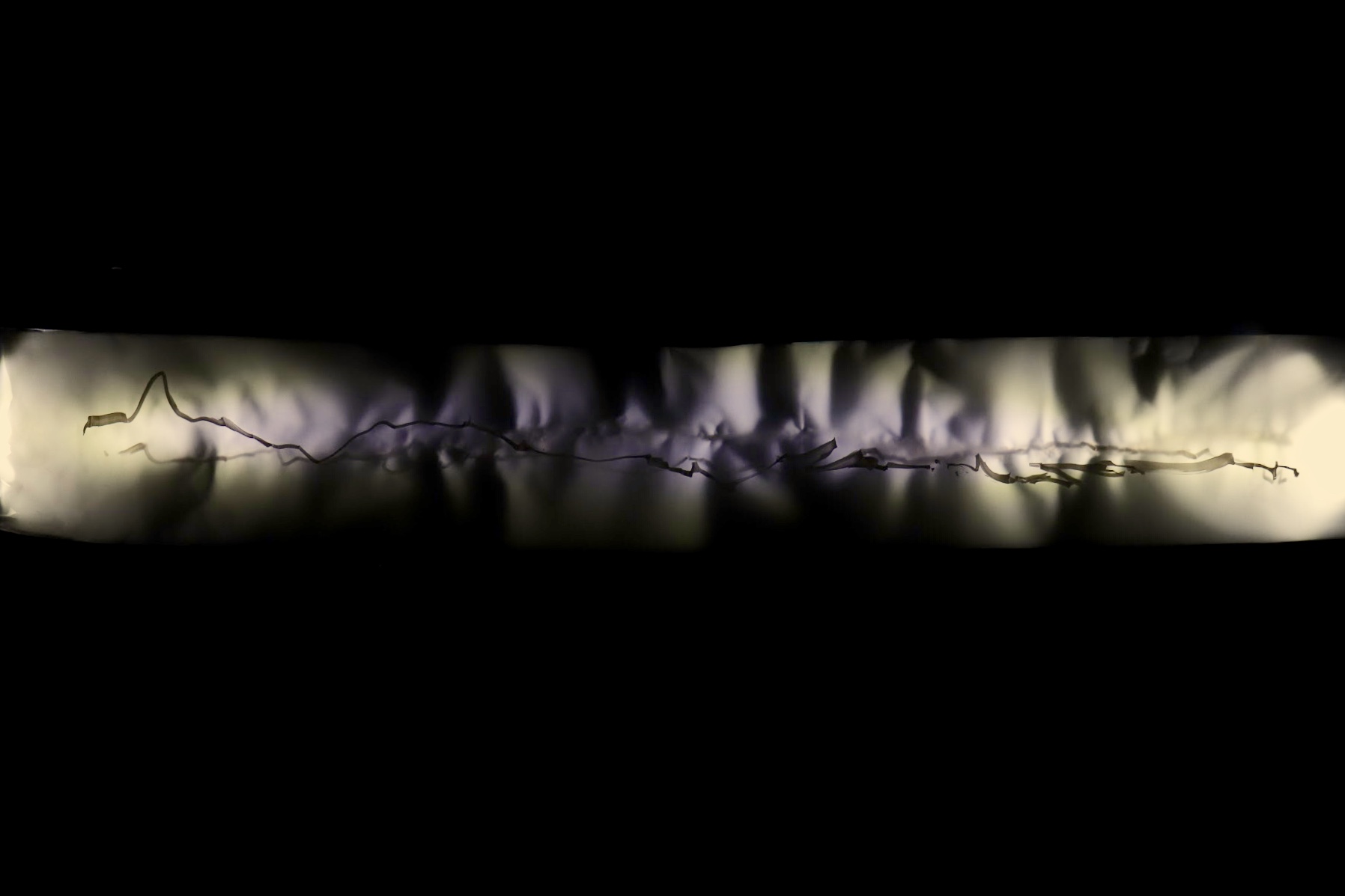 VIII-Project-top-1