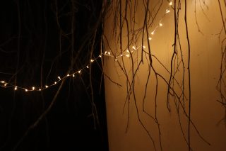 IMG_8355-1