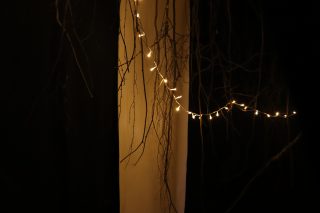 IMG_8356
