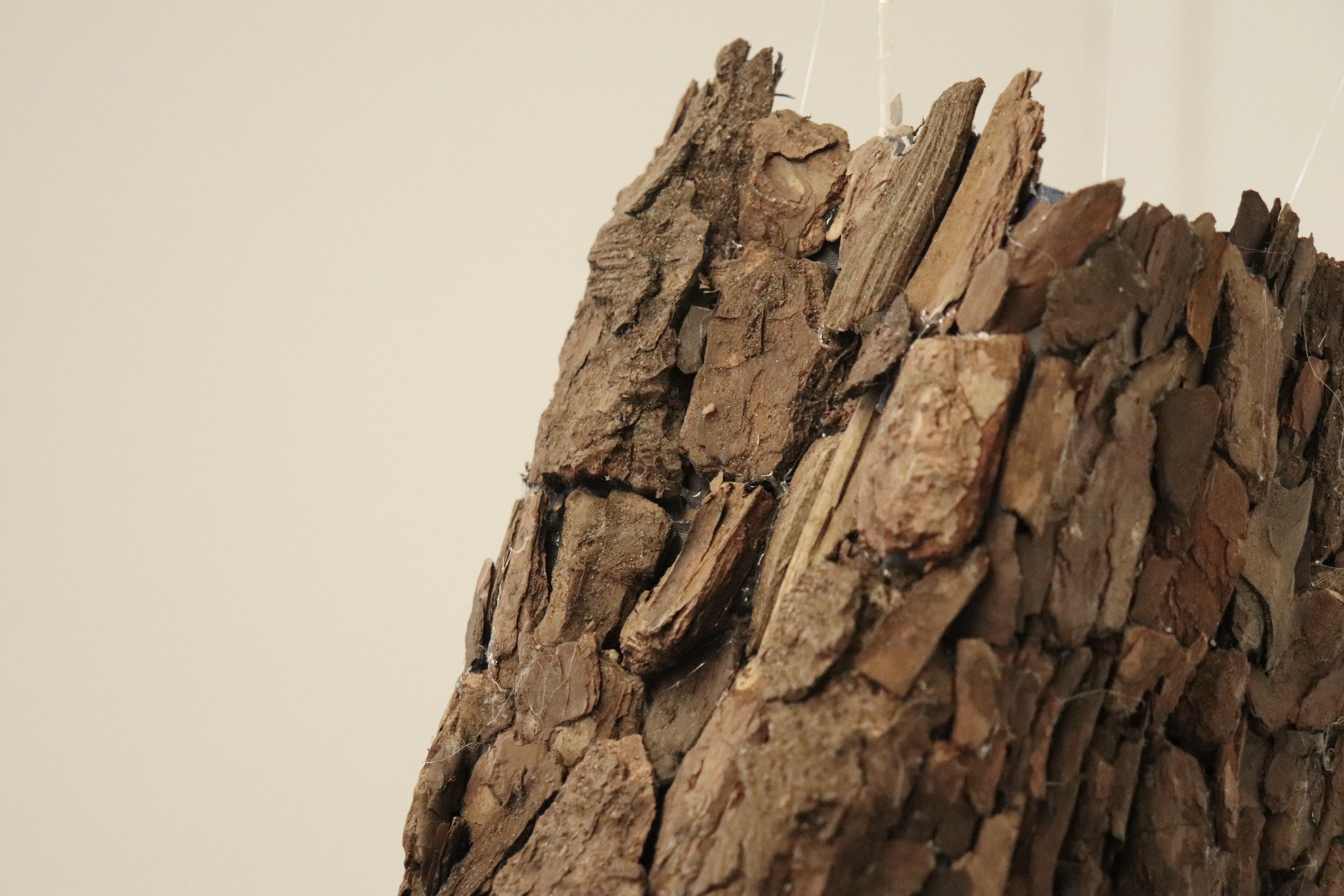 5 detail